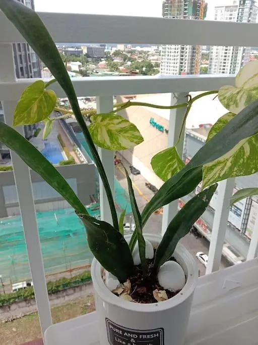 Condo Inspiria Beside Abreeza Mall Davao City 0*,  Fülöp-szigetek